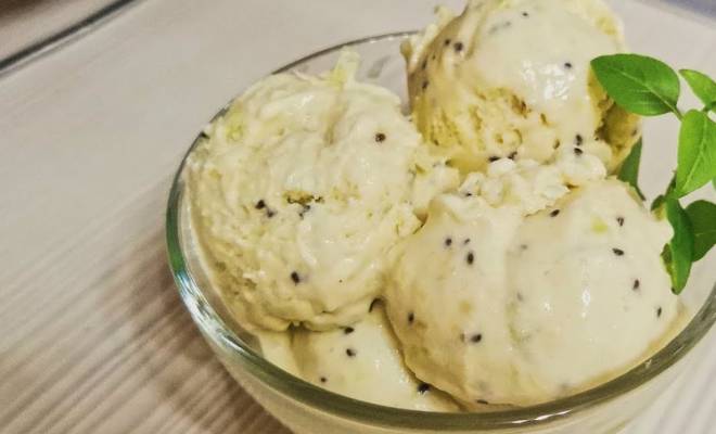 Мороженое из киви в домашних условиях: рецепт + 5 пошаговых фото