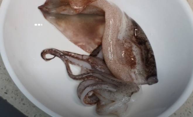 Как чистить свежих кальмаров правильно неочищенных рецепт