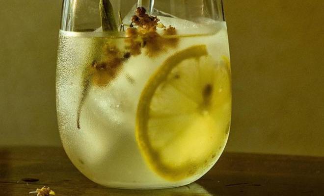 Липовый квас с лимоном, сахаром и медом рецепт