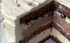 Шоколадный торт с чизкейком внутри и мороженным
