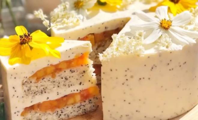 Маковый йогуртовый торт муссовый с персиками рецепт