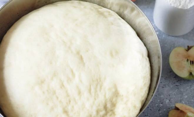 Дрожжевое тесто безопарное и опарный способы рецепт
