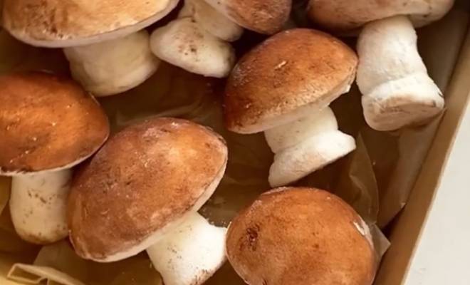 Как сделать грибы из зефира мастер класс рецепт