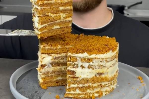 Торт Медовик на сковороде — рецепты со сметанным, заварным кремом, на сгущенке