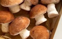 Как сделать грибы из зефира мастер класс