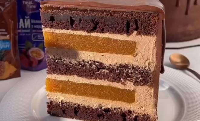 Шоколадный Пражский торт с абрикосовым кули рецепт