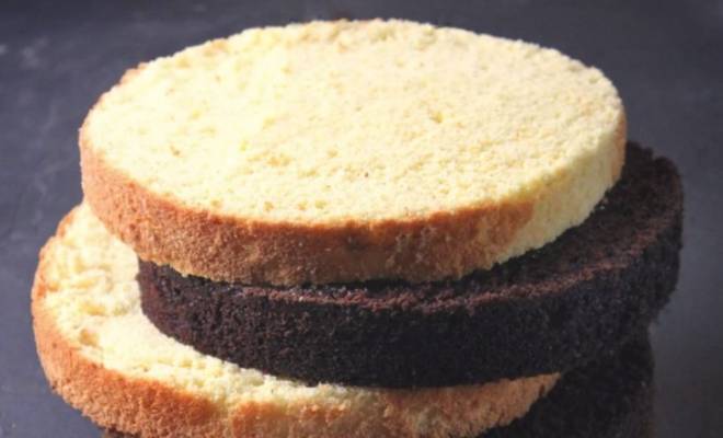 Ванильные и шоколадные бисквиты для тортов рецепт