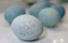Новые способы покраски яиц на пасху в домашних условиях