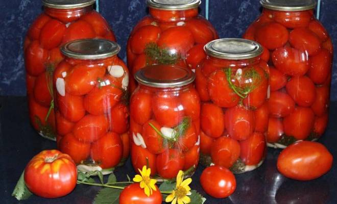 Маринованные помидоры соленые без уксуса на зиму в банках рецепт