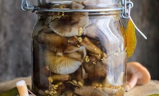 Маринованные грибы опята на зиму в банках рецепт