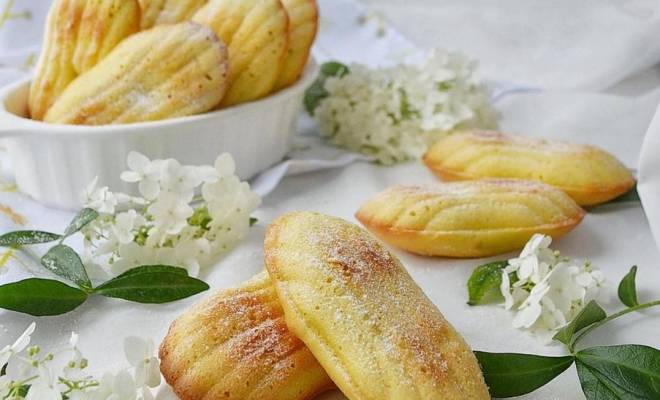 Французское печенье мадлен с лимонной цедрой рецепт