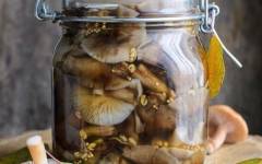 Маринованные грибы опята на зиму в банках