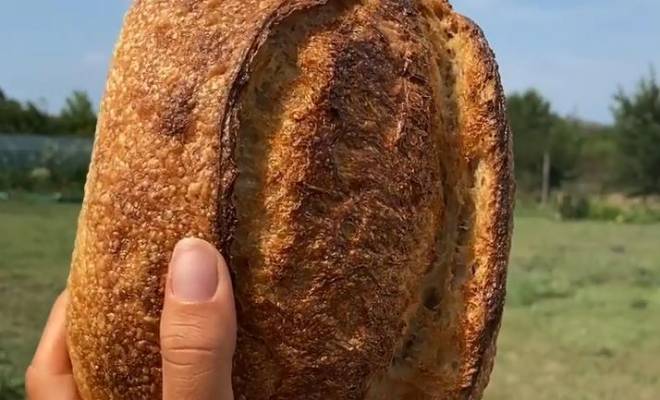 Домашний пшеничный хлеб на ржаной закваске в духовке рецепт