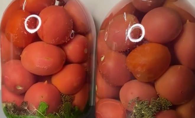 Домашние помидоры маринованные на 3 х литровую банку рецепт