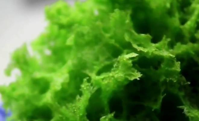 Бисквитный мох зеленый для декора торта в СВЧ рецепт
