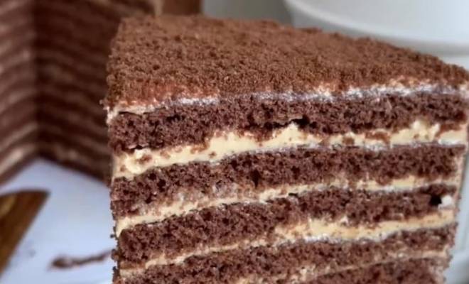 Торт Медовик шоколадный с кремом из сгущенки и сметаны рецепт