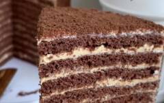 Торт Медовик шоколадный с кремом из сгущенки и сметаны