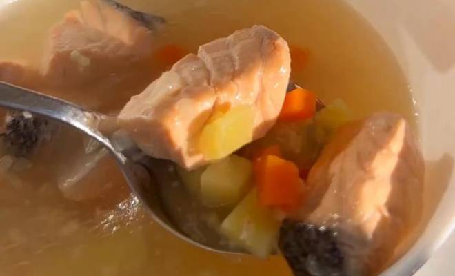 Суп уха с пшенкой и красной рыбой рецепт