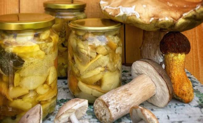 Маринованные грибы вареные рецепт