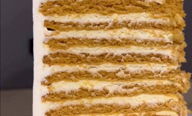 Торт медовик со сметанным кремом рецепт