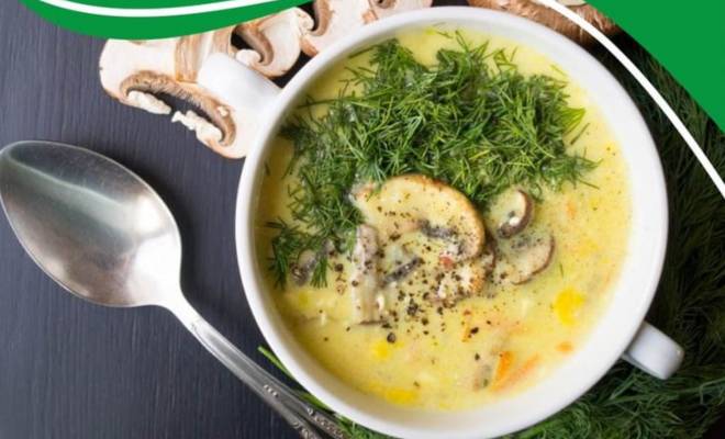 Сливочный суп с грибами рецепт