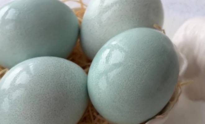 Как покрасить яйца в бирюзовый цвет краснокочанной капустой рецепт