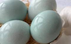 Как покрасить яйца в бирюзовый цвет краснокочанной капустой
