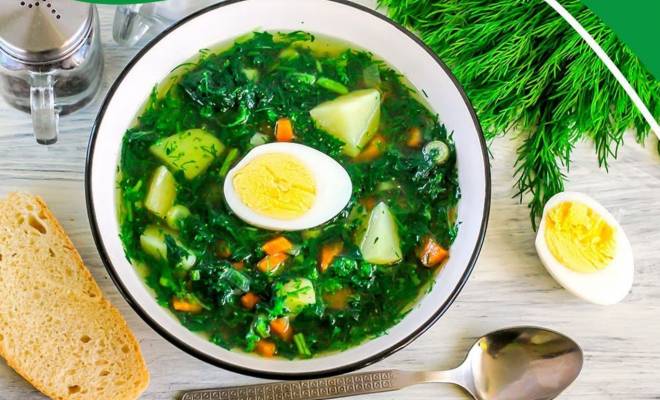 Как варить Зеленый суп из крапивы с яйцом и картофелем рецепт