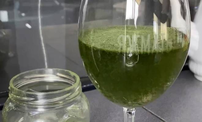 Зеленый хлорофилл домашний из крапивы рецепт