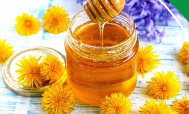 Одуванчиковый мед из цветков одуванчиков рецепт