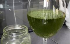 Зеленый хлорофилл домашний из крапивы