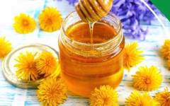 Одуванчиковый мед из цветков одуванчиков