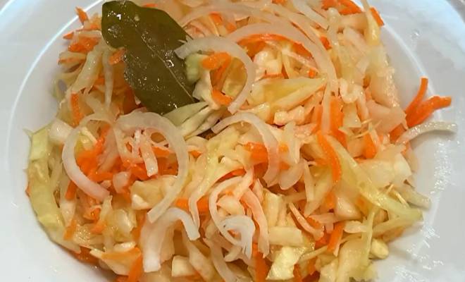 Суточная капуста с морковью рецепт