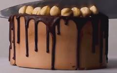 Торт шоколадный бейлис с хрустящим слоем и фундучным пралине