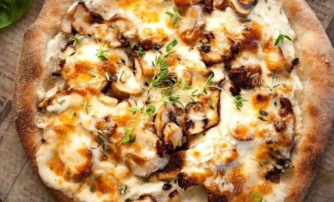 Пицца с грибами белыми свежими рецепт