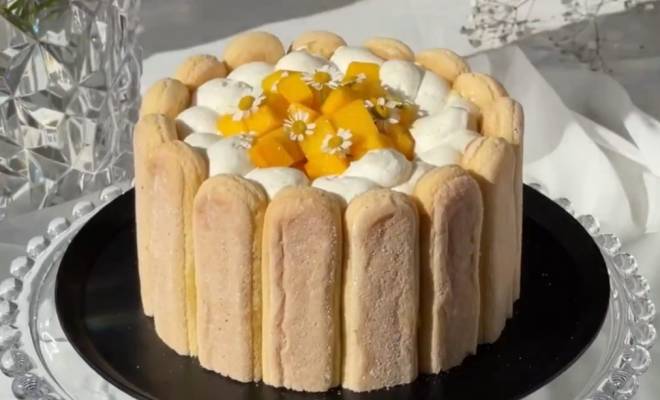 Торт Шарлотта с манго и печеньем савоярди рецепт