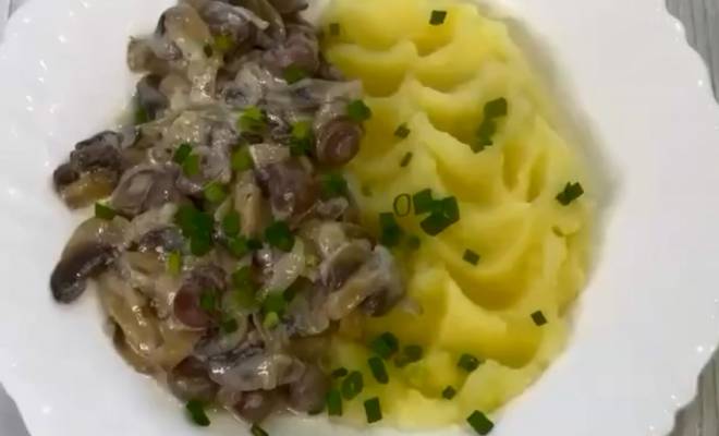 Видео Куриные сердечки с грибами в сметанном соусе рецепт