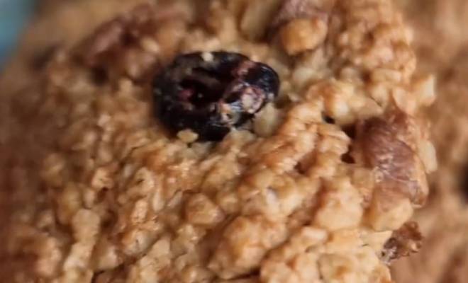 Видео Овсяное печенье с клюквой и орехами рецепт