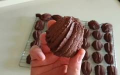 Шоколадное печенье ракушка