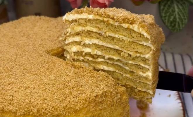 Видео Воздушный торт Медовик без раскатки коржей со сметаной рецепт